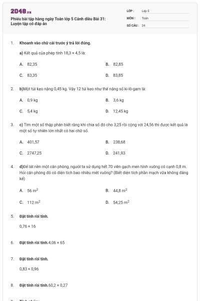 Phiếu bài tập hàng ngày Toán lớp 5 Cánh diều Bài 31: Luyện tập có đáp án