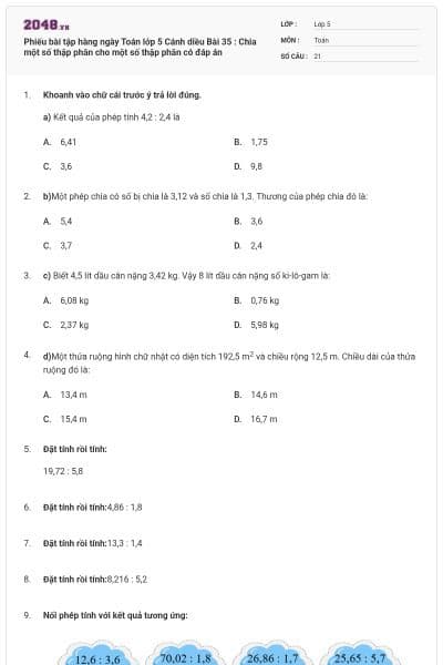 Phiếu bài tập hàng ngày Toán lớp 5 Cánh diều Bài 35 : Chia một số thập phân cho một số thập phân có đáp án