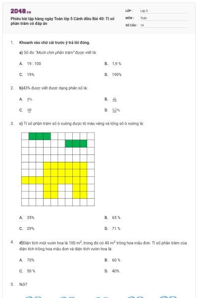 Phiếu bài tập hàng ngày Toán lớp 5 Cánh diều Bài 40: Tỉ số phần trăm có đáp án