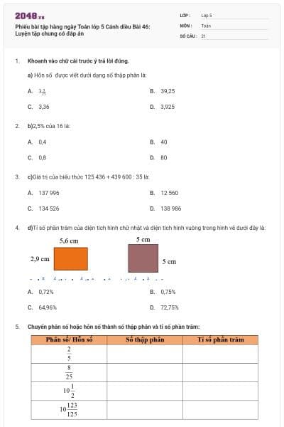 Phiếu bài tập hàng ngày Toán lớp 5 Cánh diều Bài 46: Luyện tập chung có đáp án