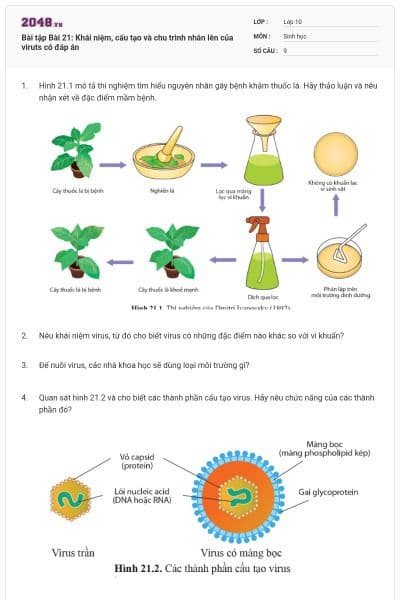 Bài tập Bài 21: Khái niệm, cấu tạo và chu trình nhân lên của viruts có đáp án
