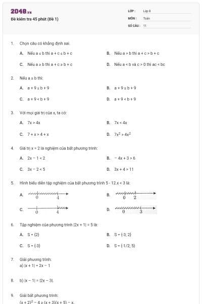 Đề kiểm tra 45 phút (Đề 1)