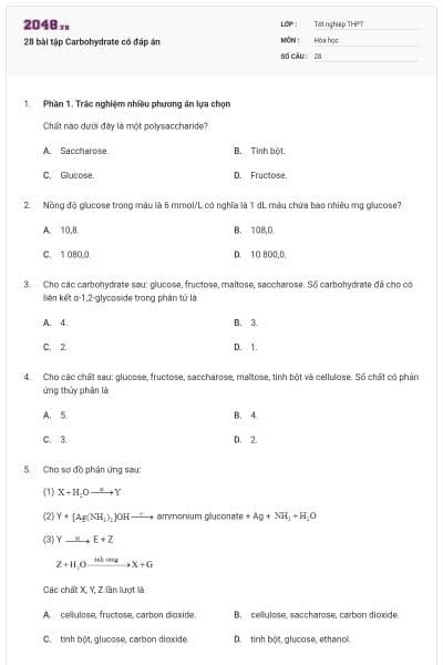 28 bài tập Carbohydrate có đáp án