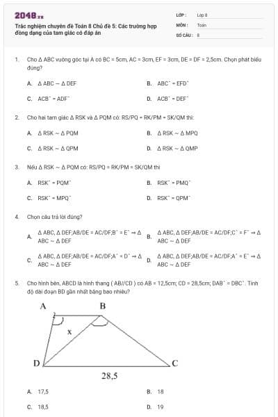 Trắc nghiệm chuyên đề Toán 8 Chủ đề 5: Các trường hợp đồng dạng của tam giác có đáp án
