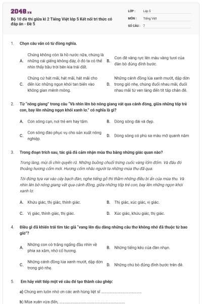 Bộ 10 đề thi giữa kì 2 Tiếng Việt lớp 5 Kết nối tri thức có đáp án - Đề 5