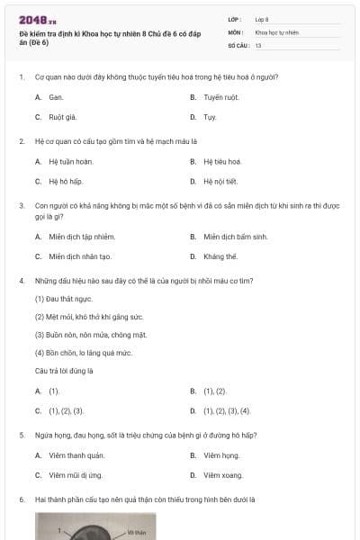 Đề kiểm tra định kì Khoa học tự nhiên 8 Chủ đề 6 có đáp án (Đề 6)