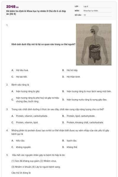 Đề kiểm tra định kì Khoa học tự nhiên 8 Chủ đề 6 có đáp án (Đề 8)