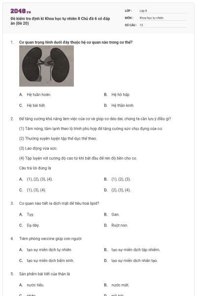 Đề kiểm tra định kì Khoa học tự nhiên 8 Chủ đề 6 có đáp án (Đề 20)