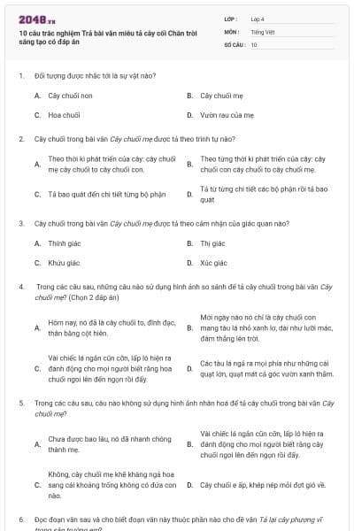 10 câu trắc nghiệm Trả bài văn miêu tả cây cối Chân trời sáng tạo có đáp án