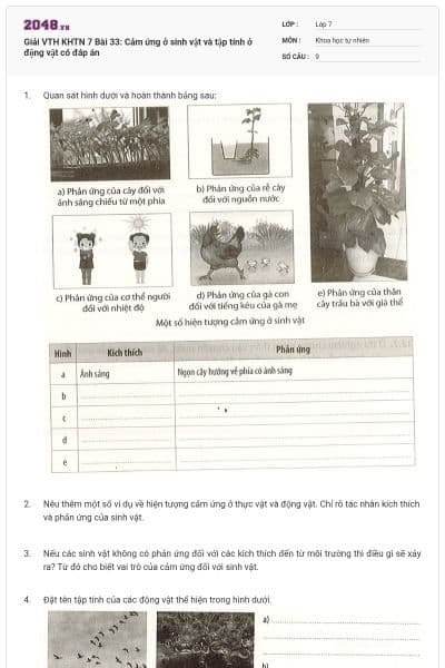 Giải VTH KHTN 7 Bài 33: Cảm ứng ở sinh vật và tập tính ở động vật có đáp án