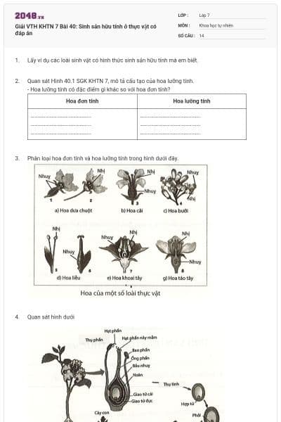 Giải VTH KHTN 7 Bài 40: Sinh sản hữu tính ở thực vật có đáp án