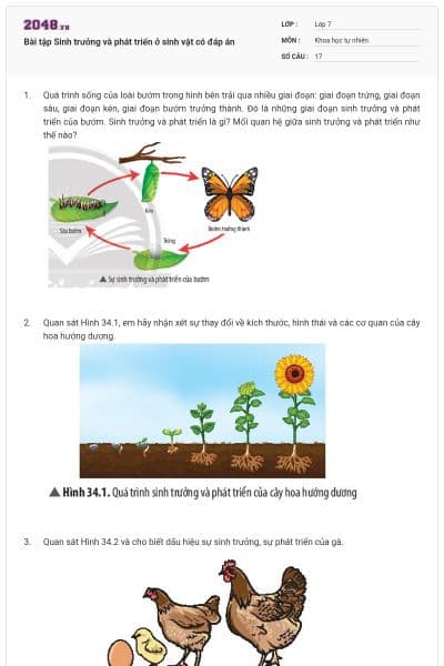 Bài tập Sinh trưởng và phát triển ở sinh vật có đáp án