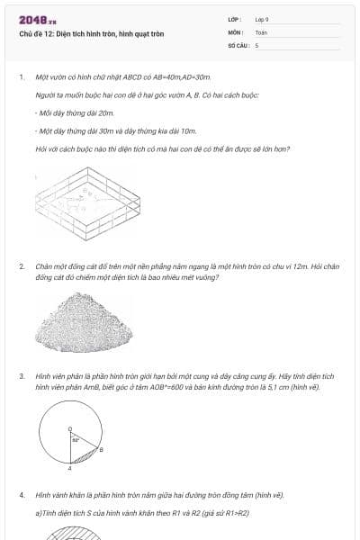 Chủ đề 12: Diện tích hình tròn, hình quạt tròn
