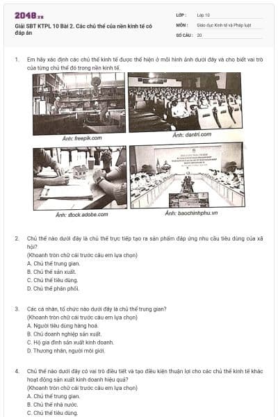 Giải SBT KTPL 10 Bài 2. Các chủ thể của nền kinh tế có đáp án