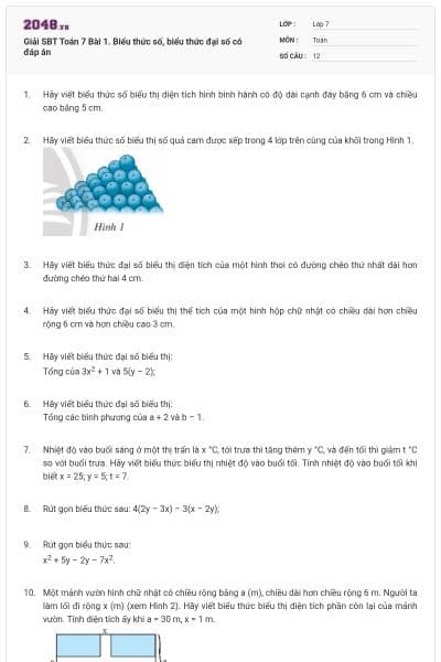 Giải SBT Toán 7 Bài 1. Biểu thức số, biểu thức đại số có đáp án