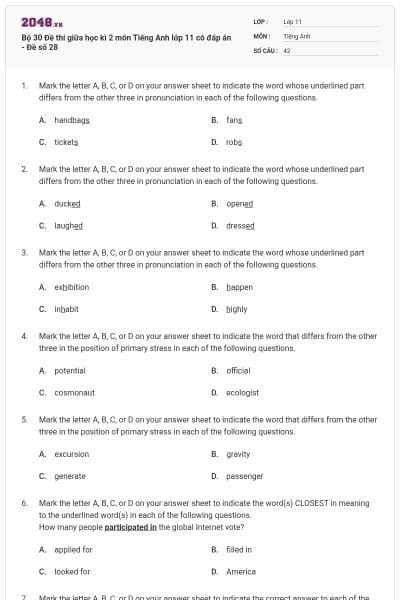 Bộ 30 Đề thi giữa học kì 2 môn Tiếng Anh lớp 11 có đáp án - Đề số 28