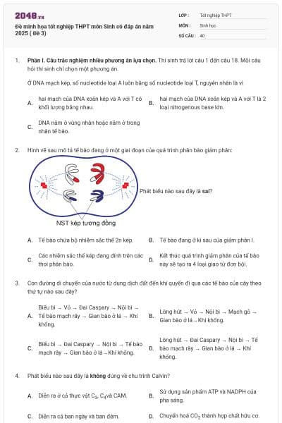 Đề minh họa tốt nghiệp THPT môn Sinh có đáp án năm 2025 ( Đề 3)