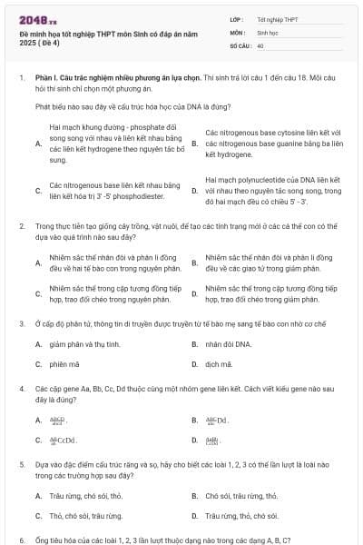 Đề minh họa tốt nghiệp THPT môn Sinh có đáp án năm 2025 ( Đề 4)