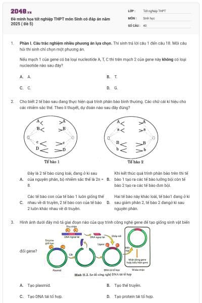Đề minh họa tốt nghiệp THPT môn Sinh có đáp án năm 2025 ( Đề 5)