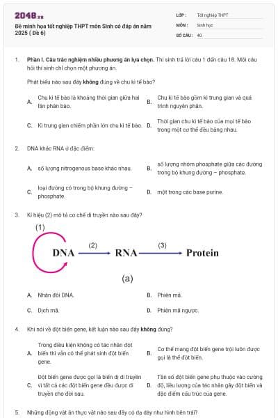 Đề minh họa tốt nghiệp THPT môn Sinh có đáp án năm 2025 ( Đề 6)