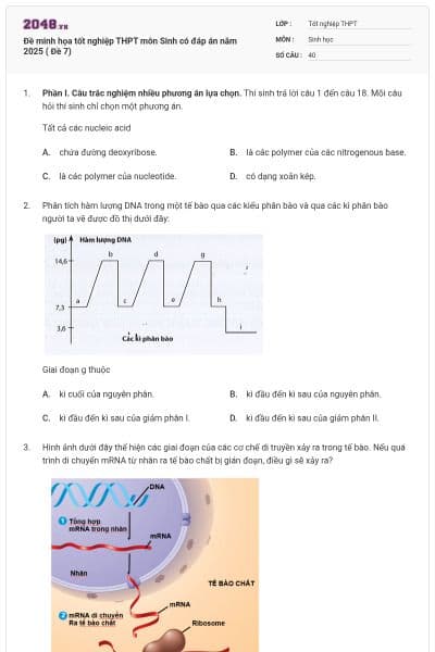 Đề minh họa tốt nghiệp THPT môn Sinh có đáp án năm 2025 ( Đề 7)