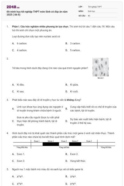 Đề minh họa tốt nghiệp THPT môn Sinh có đáp án năm 2025 ( Đề 8)