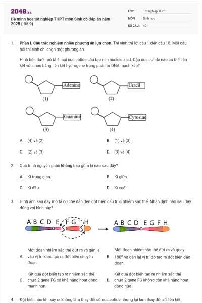 Đề minh họa tốt nghiệp THPT môn Sinh có đáp án năm 2025 ( Đề 9)