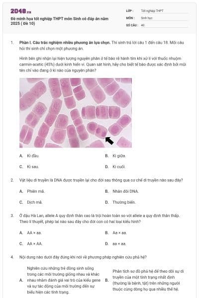 Đề minh họa tốt nghiệp THPT môn Sinh có đáp án năm 2025 ( Đề 10)
