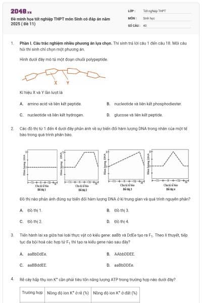 Đề minh họa tốt nghiệp THPT môn Sinh có đáp án năm 2025 ( Đề 11)