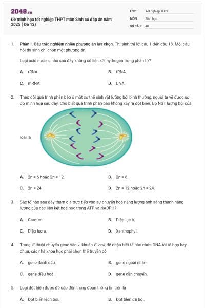 Đề minh họa tốt nghiệp THPT môn Sinh có đáp án năm 2025 ( Đề 12)