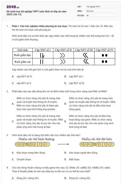 Đề minh họa tốt nghiệp THPT môn Sinh có đáp án năm 2025 ( Đề 13)