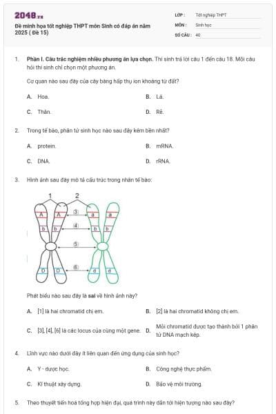 Đề minh họa tốt nghiệp THPT môn Sinh có đáp án năm 2025 ( Đề 15)