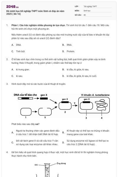 Đề minh họa tốt nghiệp THPT môn Sinh có đáp án năm 2025 ( Đề 16)