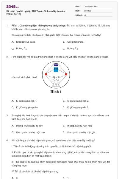 Đề minh họa tốt nghiệp THPT môn Sinh có đáp án năm 2025 ( Đề 17)