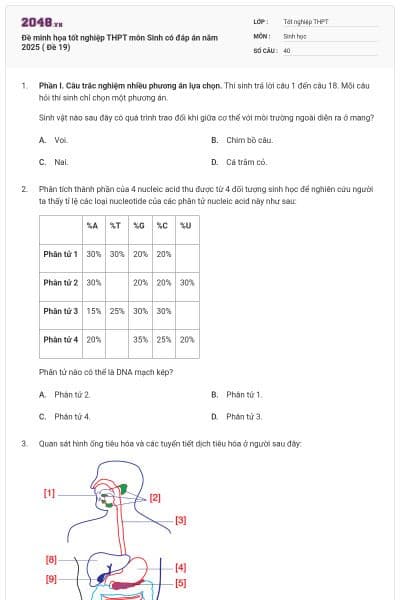 Đề minh họa tốt nghiệp THPT môn Sinh có đáp án năm 2025 ( Đề 19)