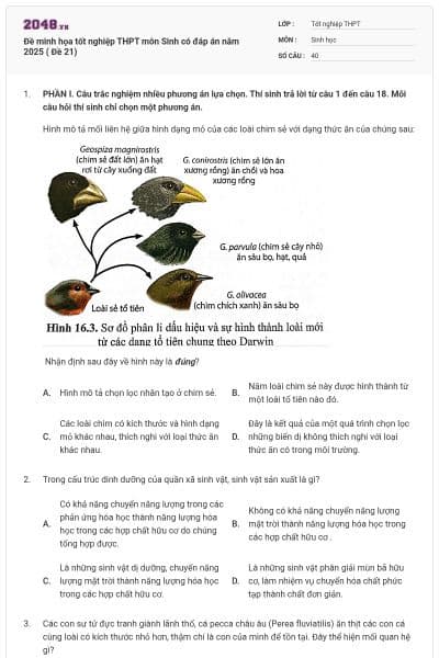 Đề minh họa tốt nghiệp THPT môn Sinh có đáp án năm 2025 ( Đề 21)