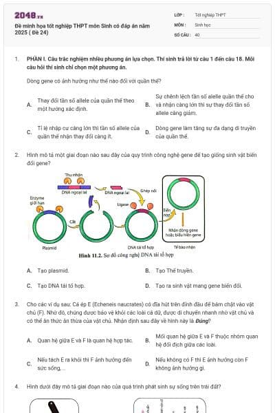 Đề minh họa tốt nghiệp THPT môn Sinh có đáp án năm 2025 ( Đề 24)
