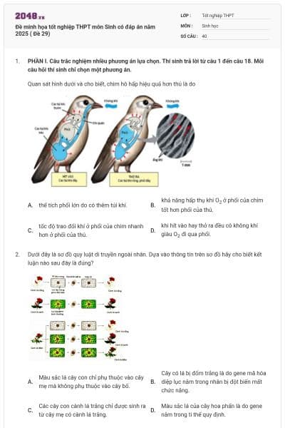 Đề minh họa tốt nghiệp THPT môn Sinh có đáp án năm 2025 ( Đề 29)
