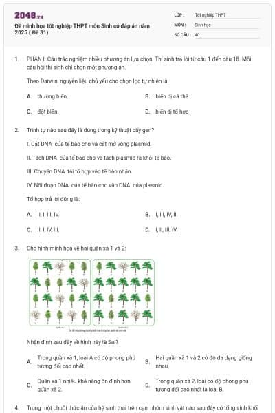 Đề minh họa tốt nghiệp THPT môn Sinh có đáp án năm 2025 ( Đề 31)