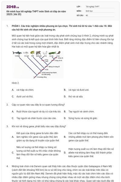 Đề minh họa tốt nghiệp THPT môn Sinh có đáp án năm 2025 ( Đề 35)