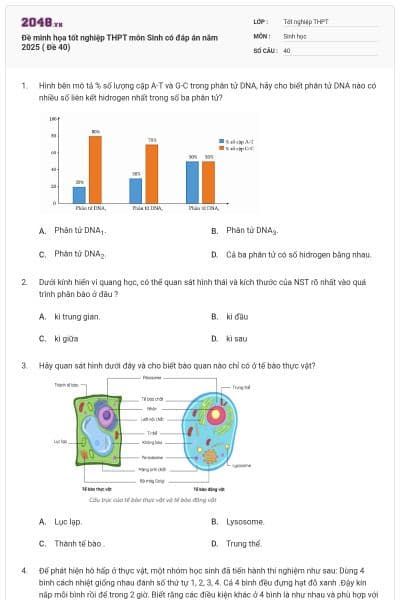 Đề minh họa tốt nghiệp THPT môn Sinh có đáp án năm 2025 ( Đề 40)