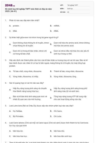 Đề minh họa tốt nghiệp THPT môn Sinh có đáp án năm 2025 ( Đề 41)