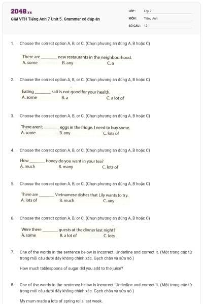 Giải VTH Tiếng Anh 7 Unit 5. Grammar có đáp án