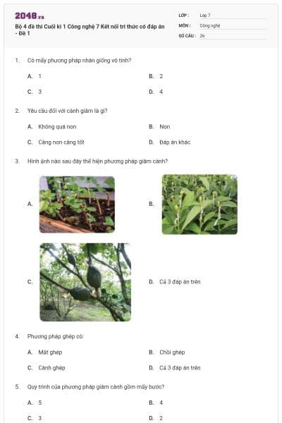Bộ 4 đề thi Cuối kì 1 Công nghệ 7 Kết nối tri thức có đáp án - Đề 1