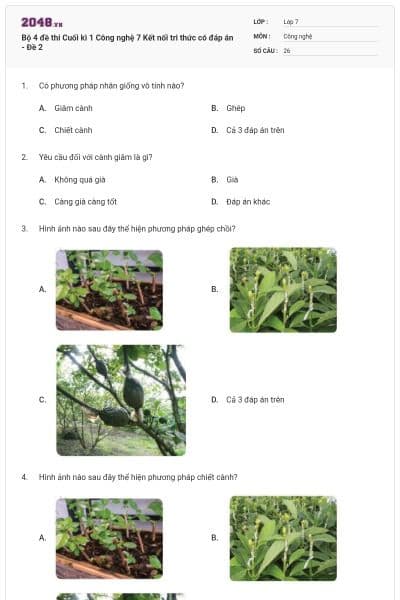 Bộ 4 đề thi Cuối kì 1 Công nghệ 7 Kết nối tri thức có đáp án - Đề 2