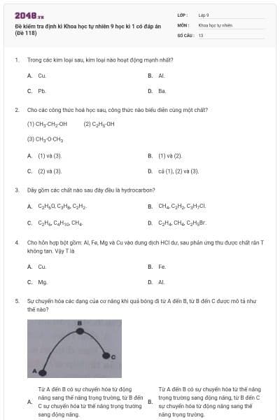 Đề kiểm tra định kì Khoa học tự nhiên 9 học kì 1 có đáp án (Đề 118)