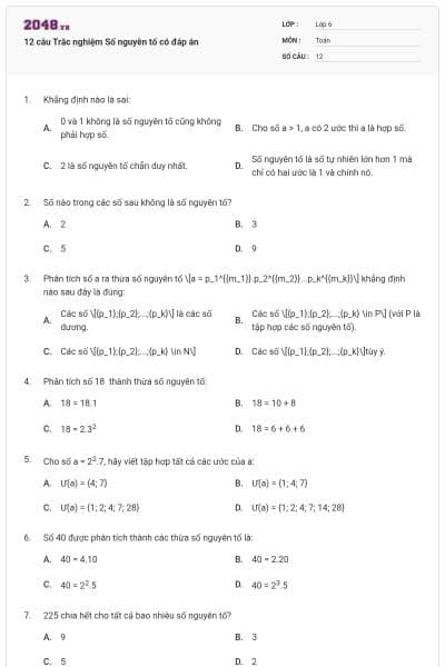 12 câu Trắc nghiệm Số nguyên tố có đáp án