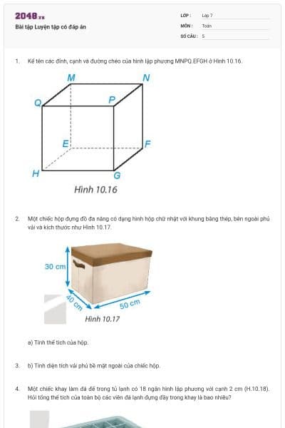 Bài tập Luyện tập có đáp án