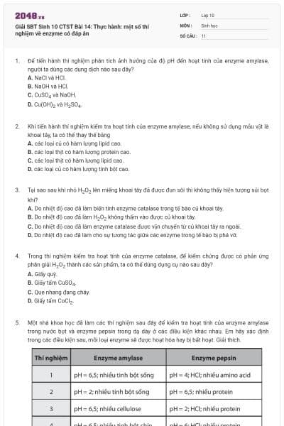 Giải SBT Sinh 10 CTST Bài 14: Thực hành: một số thí nghiệm về enzyme có đáp án
