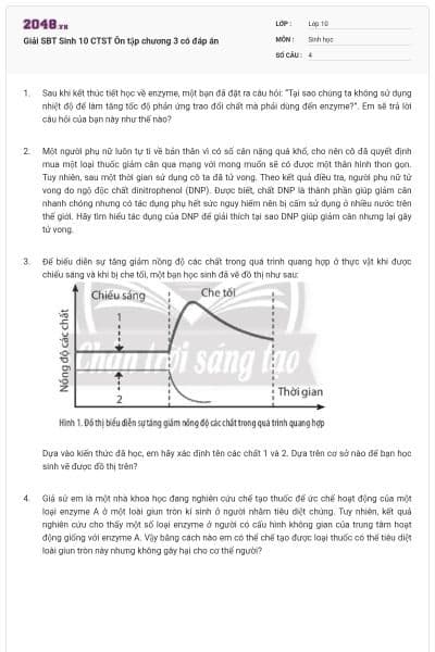 Giải SBT Sinh 10 CTST Ôn tập chương 3 có đáp án